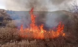 Tunceli Çemişgezek'te arazide çıkan yangın söndürüldü