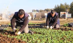 Diyarbakır  çiçek gibi oluyor