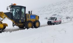 Diyarbakır Büyükşehir kardan kapanan yolları açtı