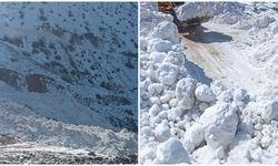 Hakkari'de çığ: Yol kapandı