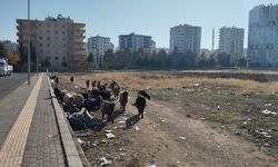 Diyarbakır'da değişime rağmen keçiler hala aynı yerde