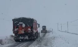 Tunceli merkez ve 6 ilçede kar tatili