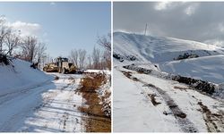 Lice ve Çüngüş’te kar temizliği