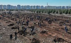 Diyarbakır’da öğrenciler Kent Ormanı’na fidan dikti