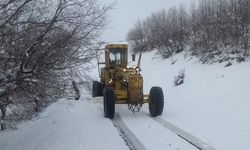 Elazığ’da 54 köy ulaşıma kapandı