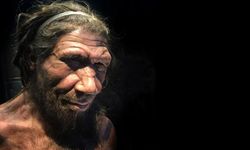 Neandertallerin yok oluşunun gizemi ortaya çıktı