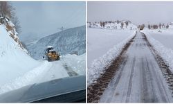 Siirt’te kapanan yollar ulaşıma açıldı