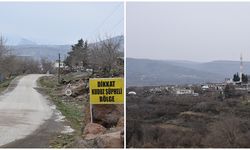 Urfa Siverek'te kuduz alarmı