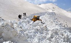 Şırnak'ta iş makinesinin üzerine çığ düştü