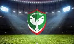 Amedspor 2 maddeden PFDK'ya sevk edildi