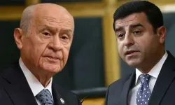 Bahçeli Demirtaş görüşmesinin detayları