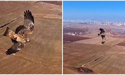 Kızıl şahinler Diyarbakır’da
