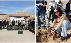 Hasankeyf’te, 5 bin zeytin fidanı dağıtımı