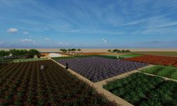 Diyarbakır Büyükşehir’den tıbbi, aromatik bahçe