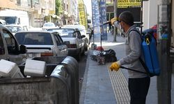 Diyarbakır Bismil’de larva ilaçlaması