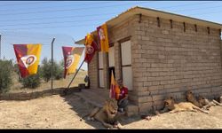 Diyarbakırlı iş insanı şampiyonluğu aslanlarıyla kutladı