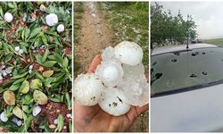 Adıyaman'da ceviz büyüklüğündeki dolu: Bademler zarar gördü