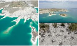 Adıyaman'da martılara özel ada