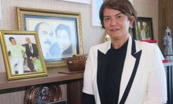 Diyarbakır Milletvekilinden anayasa ile ilgili çarpıcı açıklama