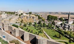 Diyarbakır’da keşfedildi, Türkiye'nin 56.sı oldu