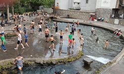 Diyarbakır Anzele'de sezonu başladı