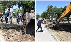 Bismil estetik ve güzel bir görüne kavuşuyor