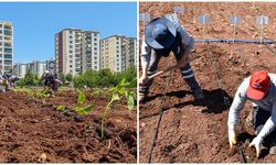 Diyarbakır’da dışa bağımlılığı bitirecek proje