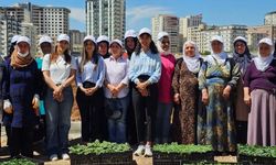 Mardin’de'Kadın Kent Bostanları’ projesi startı