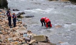 Dereye düşen kamyonetin sürücüsü hayatını kaybetti