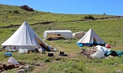 Göçerlerin yayla mesaisi başladı
