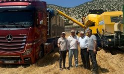 Araban Ovası'nda buğday hasadı