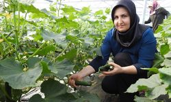 Kadınlar günlük 500 kilo ürün alıyor