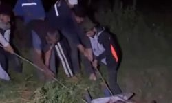 Çukura düşen ineği köylüler kurtardı