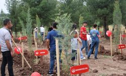 Koruyucu aile hatıra ormanı oluşturuldu