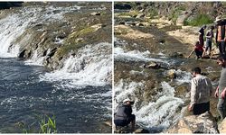 İnci kefalinin göçü turistlerin ilgi odağı