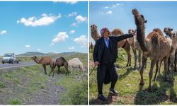 Karacadağlı besici develeri için tabela istiyor