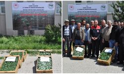 Kars'ta sebze fidesi dağıtımı