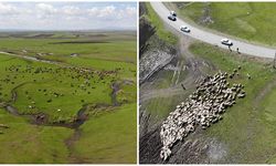 Kars'ta meralar şenlendi