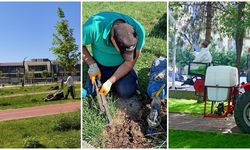 Kayapınar Belediyesi parkları yaza hazırlıyor