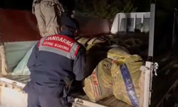 Van'da 3 ton 370 kilogram inci kefali ele geçirildi