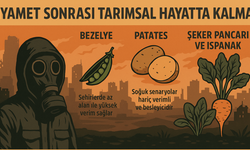 Kıyamet sonrası hayatta kalmanın anahtarı: Bezelye, patates ve ıspanak