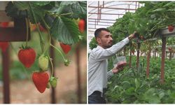 Serası yıkılan çiftçi yeniden üretime başladı