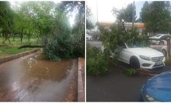 Diyarbakır için meteoroloji uyarı yapmıştı