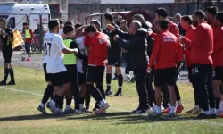 Siverek Belediyespor şampiyon oldu, 3. Lig'e yükseldi