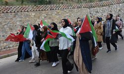 Diyarbakır'da İsrail'in Gazze'ye saldırıları protesto edildi