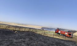 Diyarbakır’da Anız yangınlarına karşı uyarı: Toprağımızı ve geleceğimizi yakmayalım