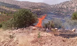 Mardin'de çıkan yangınlar, söndürüldü