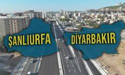 Diyarbakır'da yüzde 40, Şanlıurfa'da yüzde 80 azaldı