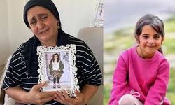 Diyarbakır'dan anne Güran için Yargıtay'a temyiz başvurusu