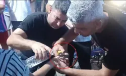 Nusaybin'de yüzüğü çıkarmak için seferber oldular